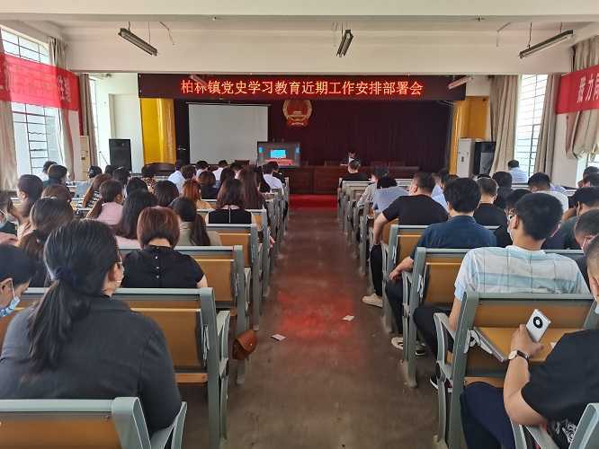 柏林镇召开党史学习教育工作安排部署会(图1)