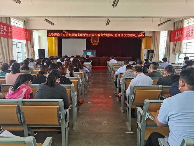 柏林镇组织党员收听收看专题学习班开班仪式(图1)