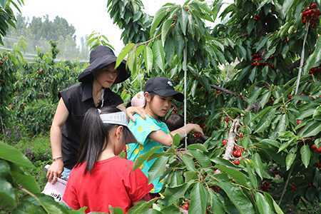 特色种植成为农民增收新亮点(图1) 特色种植成为农民增收新亮点(图1)