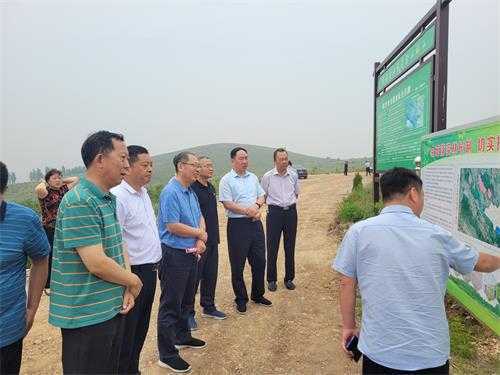 山东省自然资源厅林草湿地处赴平邑街道调研林长制工作(图1)