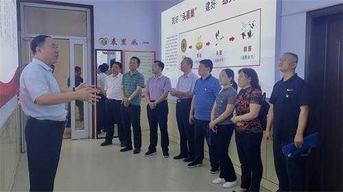 山东省自然资源厅林草湿地处赴平邑街道调研林长制工作(图3)