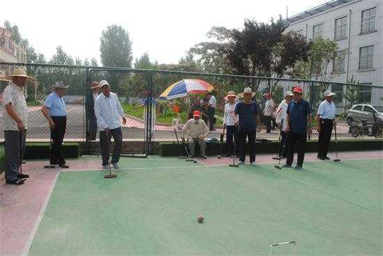 平邑街道举办庆祝建党100周年老年门球邀请赛(图2)