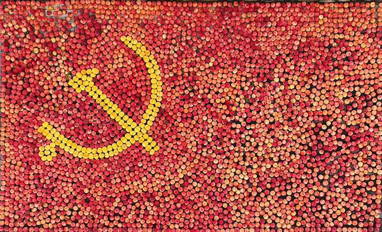 临沂蒙阴：千斤蜜桃拼出党旗图案 献礼建党百年华诞(图1)