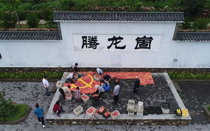 临沂蒙阴：千斤蜜桃拼出党旗图案 献礼建党百年华诞(图2)
