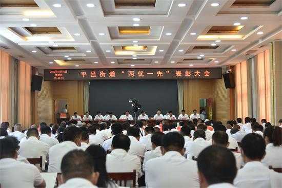 平邑街道召开“两优一先”表彰大会(图1)