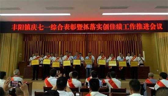 丰阳镇召开庆七一综合表彰暨抓落实创佳绩工作推进会(图1)