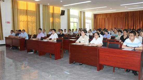 丰阳镇组织收看建党100周年庆祝大会(图2)