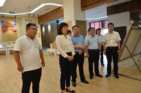 临沂:平邑县委书记张晓彬到卞桥镇调研(图1) 临沂:平邑县委书记张晓彬到卞桥镇调研(图1)