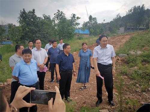 平邑县雨季造林现场会议在平邑街道召开(图1) 平邑县雨季造林现场会议在平邑街道召开(图1)