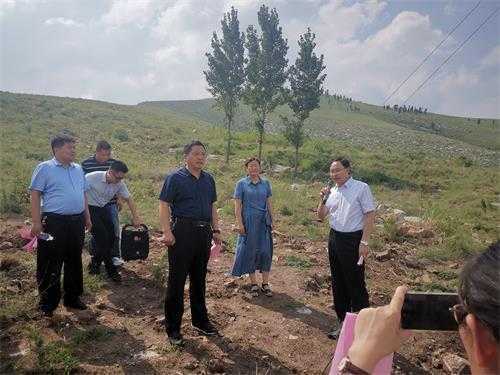 平邑县雨季造林现场会议在平邑街道召开(图3) 平邑县雨季造林现场会议在平邑街道召开(图3)