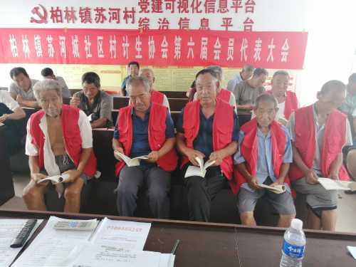 【学党史悟思想】柏林镇开展系列主题党日活动(图3)