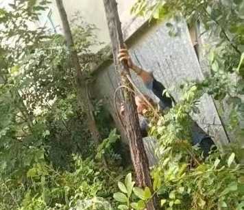 立足职能强意识 用心服务办实事(图1)