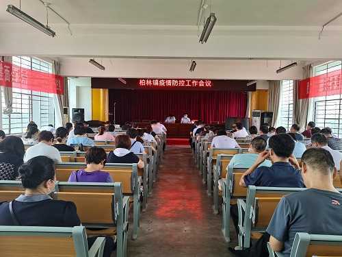 【疫情防控】柏林镇开启全方位防疫模式 全力做好疫情防控管控工作(图1)