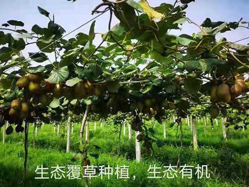 身边的世外桃源(图1) 身边的世外桃源(图1)