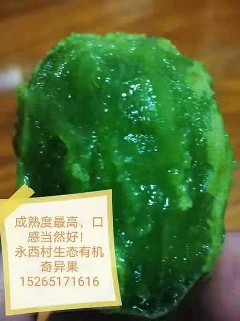 身边的世外桃源(图5) 身边的世外桃源(图5)