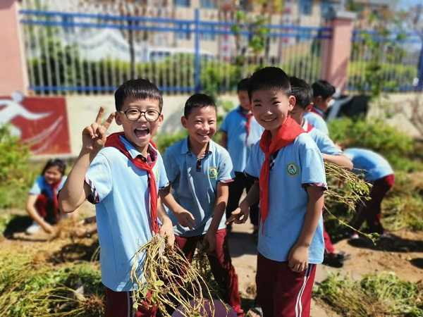苏城小学热热闹闹迎丰收(图2)