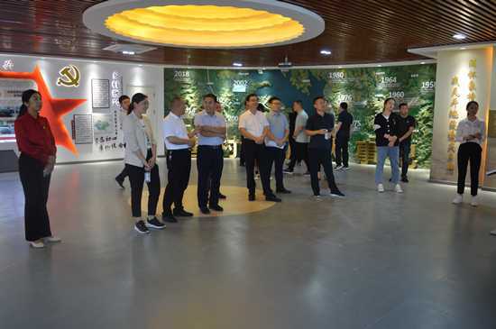 平邑县上半年基层党建现场观摩团到丰阳镇交流观摩(图2)