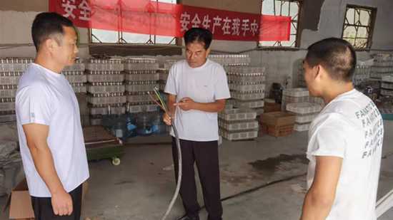 临沂平邑：丰阳镇开展“双节”前安全生产督导检查(图2)