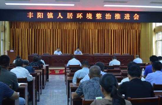 丰阳镇组织开展人居环境现场观摩活动(图2)