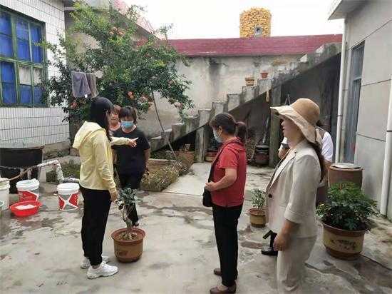 做好做实三篇文章 促进美在农家创建(图3) 做好做实三篇文章 促进美在农家创建(图3)