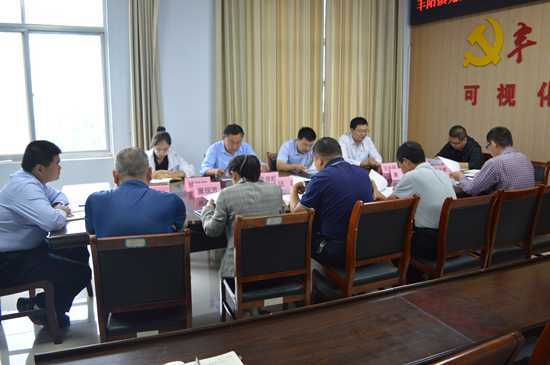 丰阳镇党委理论中心学习组召开 党史学习教育第三次专题研讨会(图2)