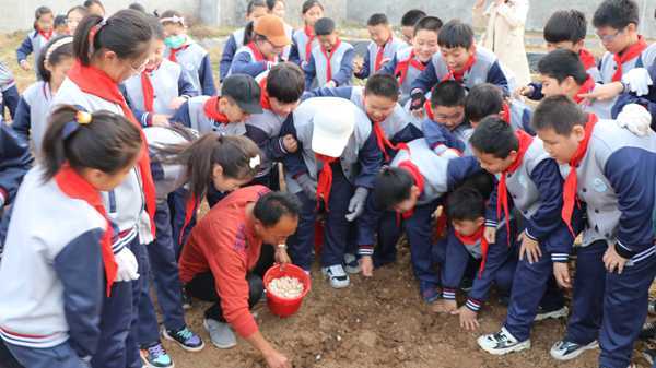 山东平邑：实验小学教育集团以劳动教育为“双减”赋能(图1)