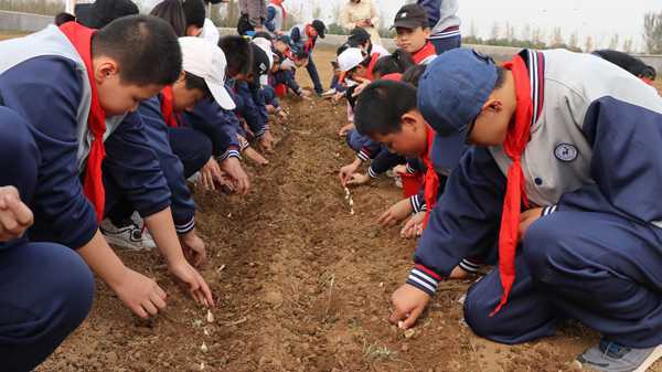 山东平邑：实验小学教育集团以劳动教育为“双减”赋能(图2)
