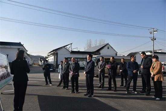 省乡村振兴调研组到平邑街道调研乡村振兴工作(图1)