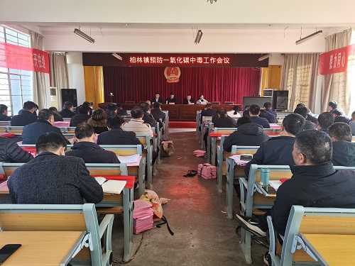 【我为群众办实事】山东平邑：柏林镇多措并举扎实开展防一氧化碳中毒工作(图1)