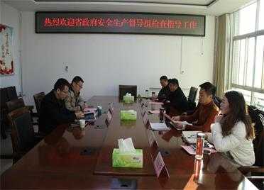 省安委会到平邑经济开发区督导检查安全生产工作(图1)