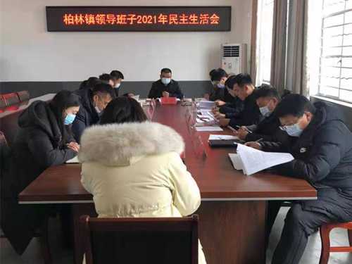 柏林镇召开2021年党史学习教育民主生活会(图1)