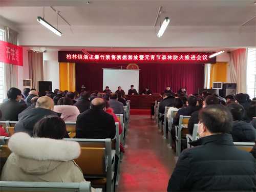 柏林镇多措并举扎实做好元宵节森林防火工作(图1)