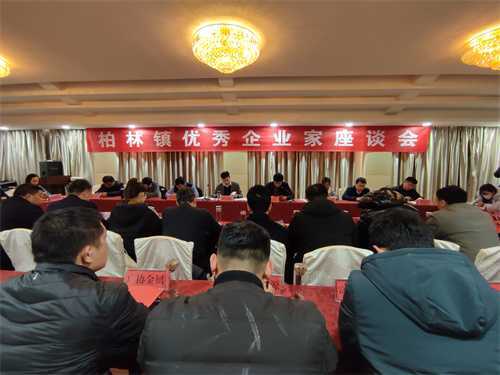凝聚共识、共谋发展——柏林镇召开优秀企业家座谈会(图1)