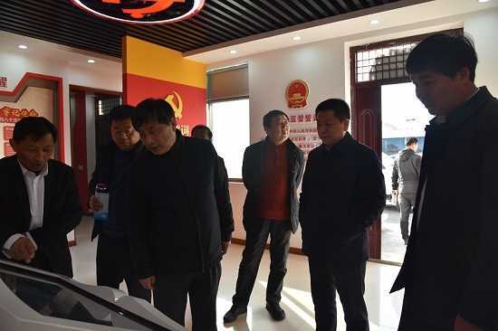 德州市领导莅临保太镇华家村指导工作(图3)