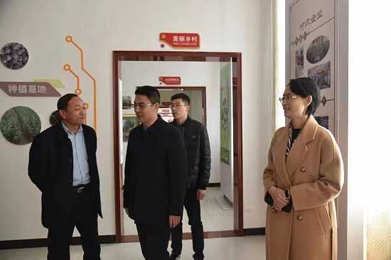临沂市选派平邑县第一书记工作大组长张浩到保太镇走访调研(图1)