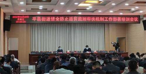 平邑街道召开健全防止返贫监测帮扶机制工作部署培训会议(图1)