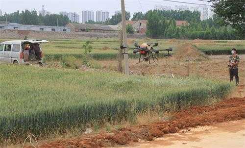 平邑街道小麦“一喷三防”全覆盖 力促夏粮增产丰收(图1)