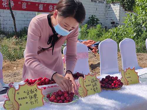 “百花争艳·樱你而来”白彦镇第四届樱桃文化节盛大开幕(图9)