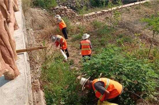 【“沂”起学理论】平邑街道：持续推进人居环境整治 助力美丽乡村建设(图1)