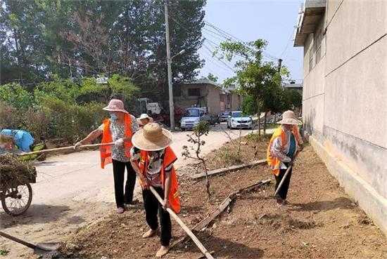 【“沂”起学理论】平邑街道：持续推进人居环境整治 助力美丽乡村建设(图2)