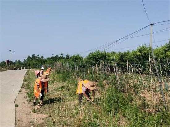 【“沂”起学理论】平邑街道：持续推进人居环境整治 助力美丽乡村建设(图4)