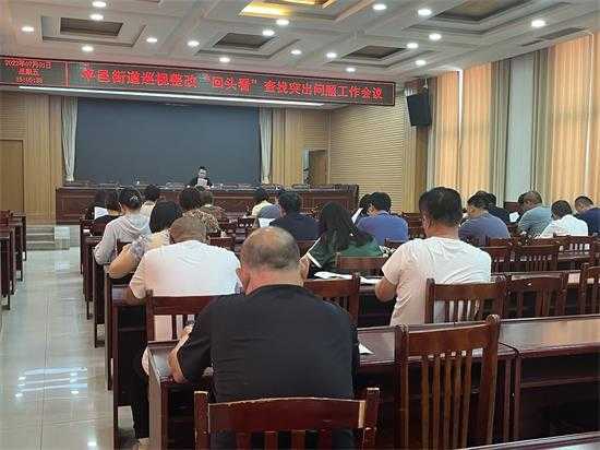 平邑街道：开展巡视整改“回头看”查找突出问题工作会议(图2)