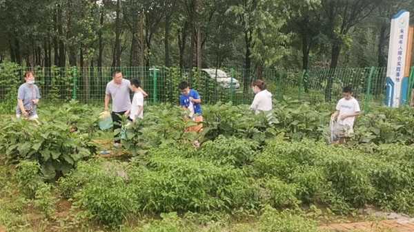 山东平邑：实验小学教育集团开展暑期有爱是“劳动”(图1)