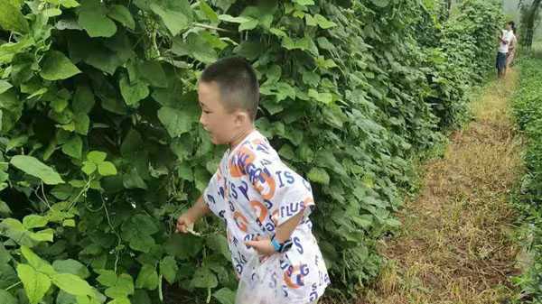 山东平邑：实验小学教育集团开展暑期有爱是“劳动”(图3)