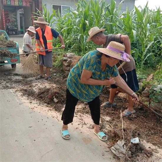 炎炎夏日，平邑街道人居环境整治不停歇(图4)