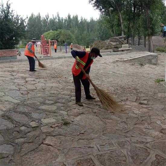 平邑街道：人居环境整治不停步 乡村颜值再提升(图2)
