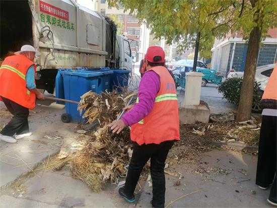 平邑街道：全面展开秋季人居环境整治攻坚行动(图1)