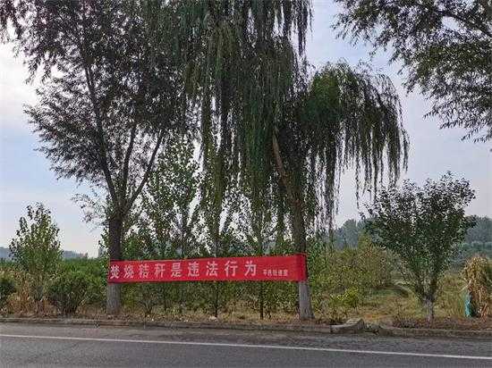 平邑街道：多措并举扎实抓好秋季森林防火工作(图1)