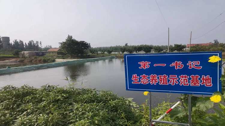保太镇公家庄村：“后进”变“后劲”，发展新活力(图3)