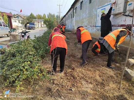 平邑街道：持续做好秋冬季人居环境整治(图2)